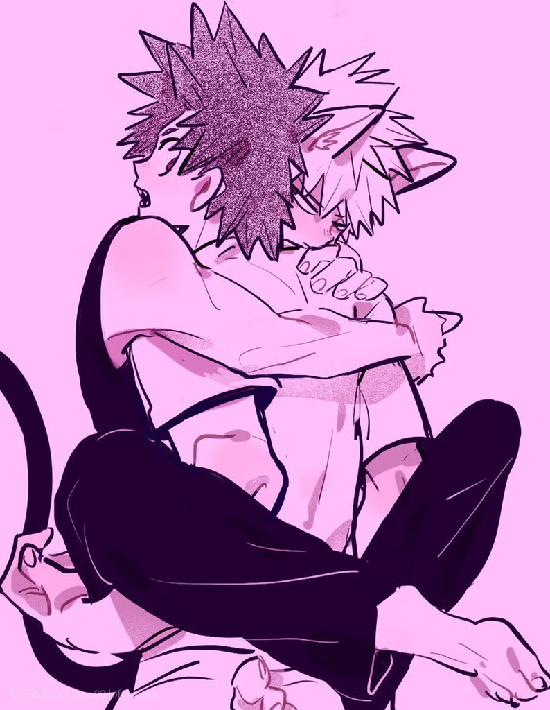 hero0re's tweet photo. 猫猫 https://t.co/fStMSH9a5x