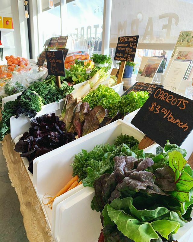 Tomorrow! Rain or shine Farm Night will be from 5pm-8pm. Come and show your support for your favorite locals. They work hard through all seasons to share with you their passion and livelihood. 
We will have freshly harvested, certified organic produce to… ift.tt/2IAr31D