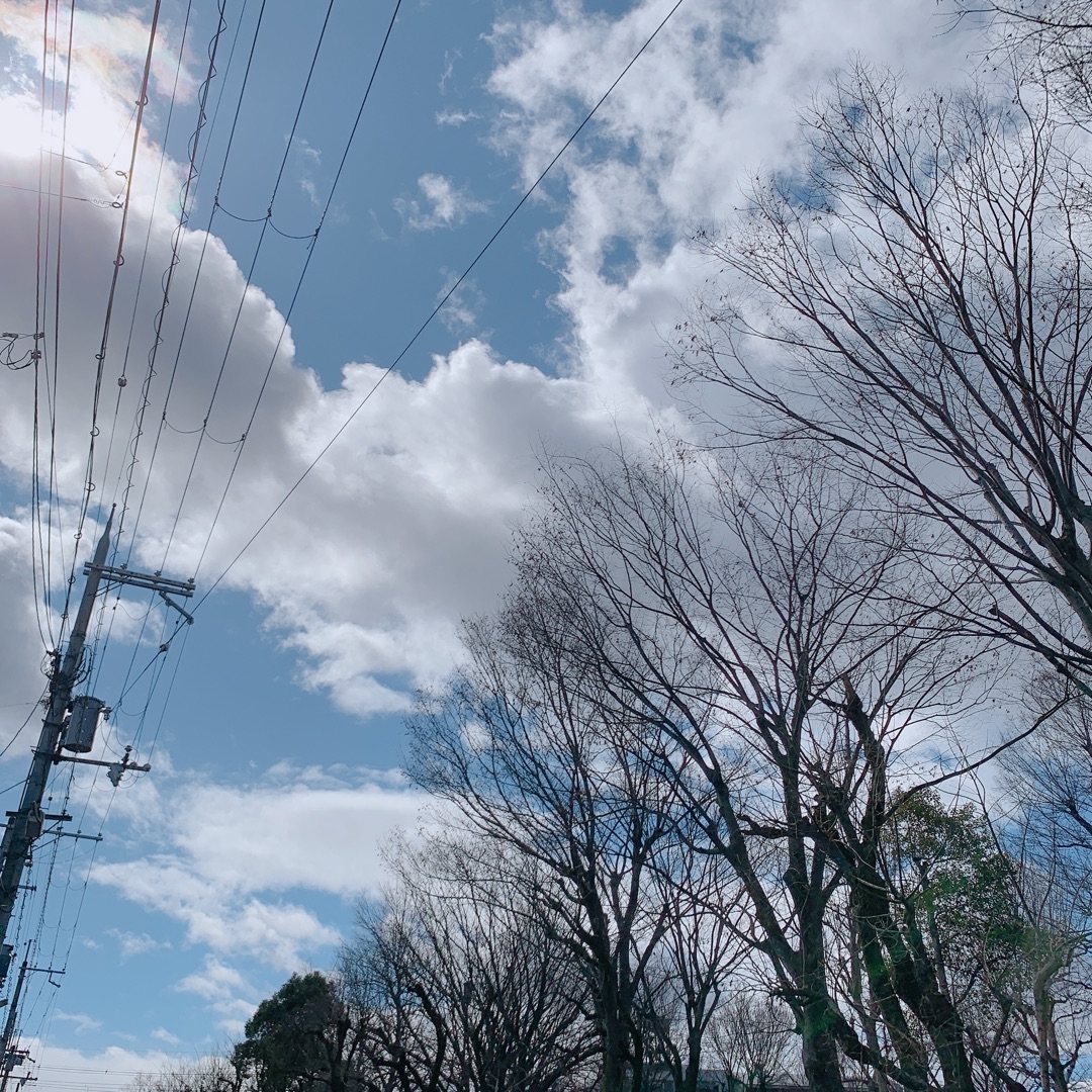 Blue_Prince_Ino's tweet photo. 果てない空PJ2020 ー アメブロを更新しました
#果てない空PJ2020
https://t.co/cYBFkMDBom https://t.co/iaXUn83Wym