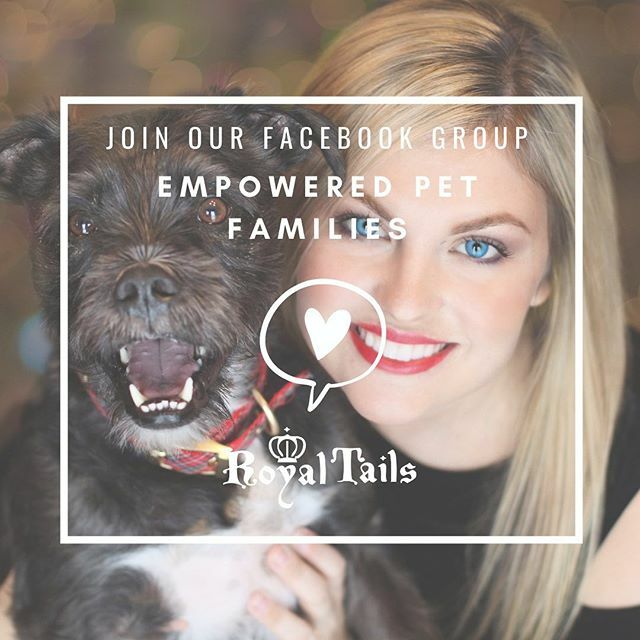 Join our growing community of Empowered Pet Families for free resources, essential oil guidance, product support and early-bird access to seasonal promotions. Stay connected and find other proud pet parents who care for their pets using natural products … ift.tt/3cGP5Wu
