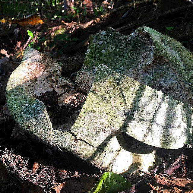 WWAdventures76's tweet photo. #AlwaysWandering #ExploreDiscoverLive #LeaveNoTrace https://t.co/cx8VRRVLLE