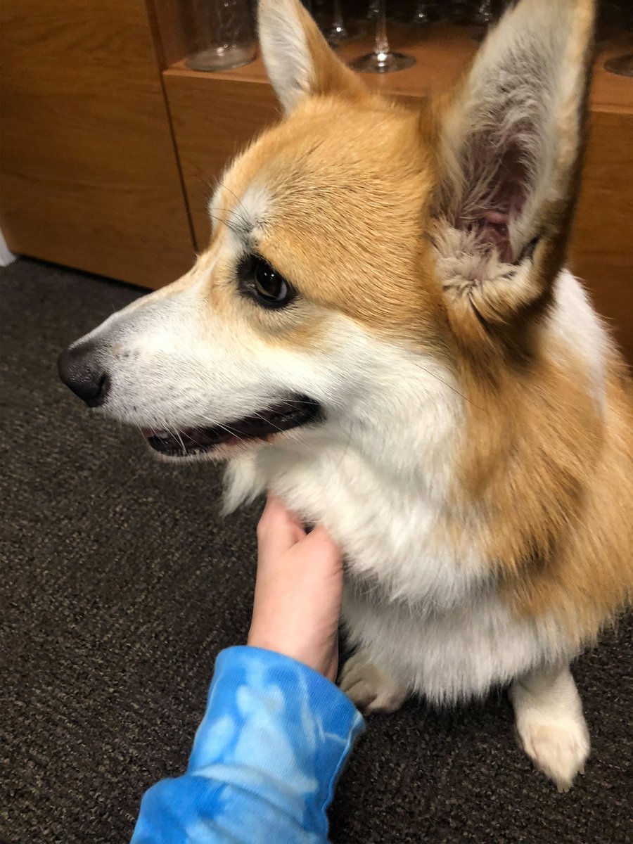 The Martec tweet media