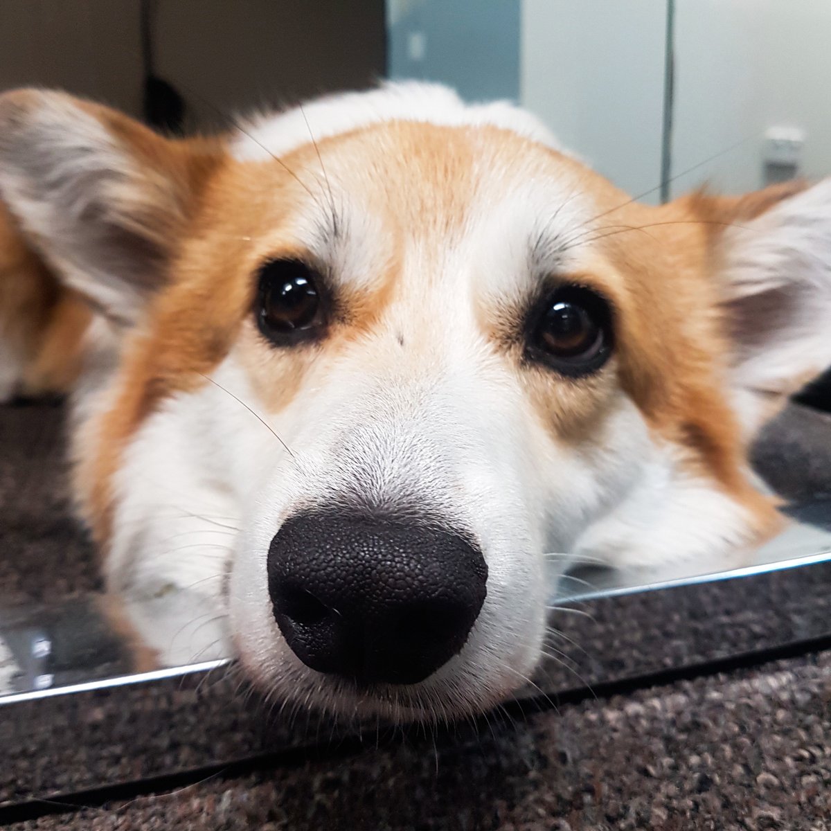 The Martec tweet media