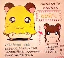 Twitter 上的 猫屋敷ひらり 7 24 日 定例live 子供の頃の勘違いをあえて言おう ハム太郎に出てくる ちび丸ちゃん が被ってる布は身体と一体型だと思ってた 脱げるんや T Co Czl8nqq0jh Twitter