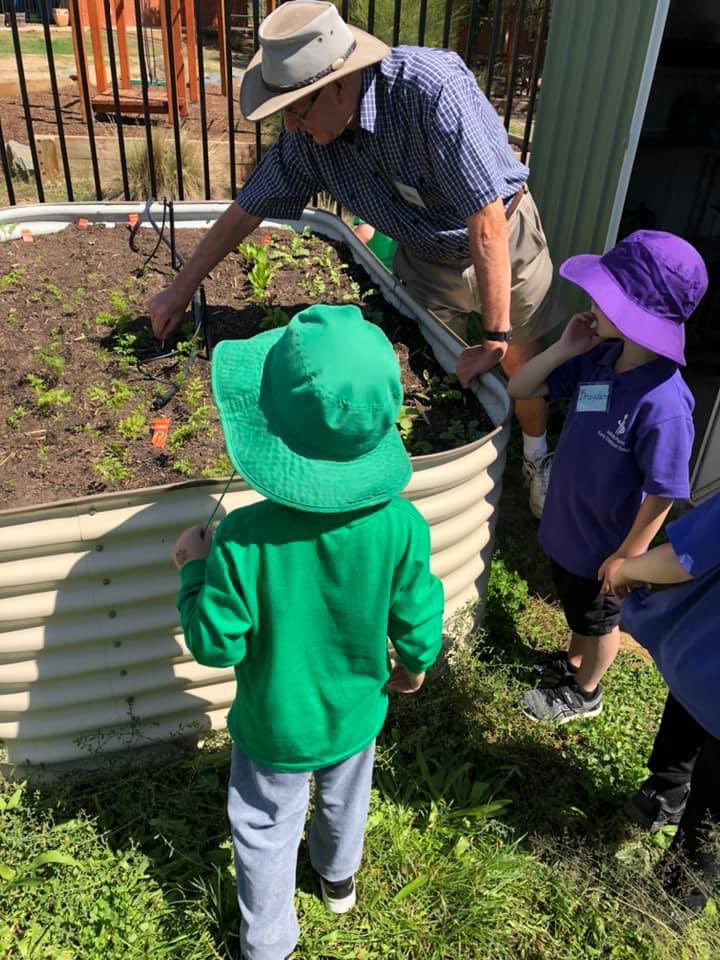 At IPECS, we love spending time in the garden. We value our partnership with our neighbours at Isabella Gardens retirement village and thank our volunteers for donating their time to help us grow healthy produce. #GrowingwithGrands #thrive #belong <a href="/ACTEducation/">ACT Public Schools</a>