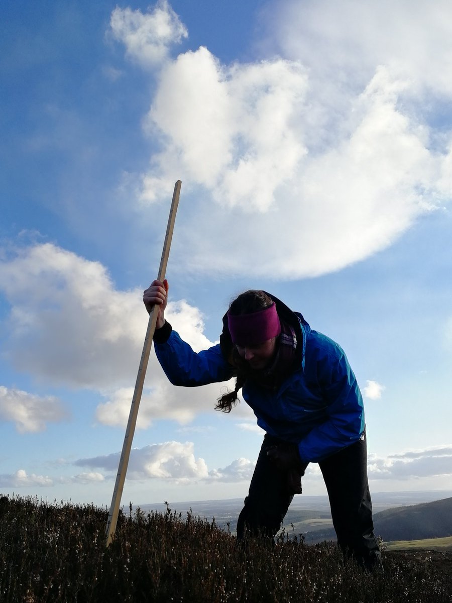 calluna_ignis's tweet photo. Finished with fuel load measurements in all my plots! Went pretty fast using @fireregimes FuelRule method based on visual obstruction👌 #wildfireecology #firescience #fuelload #biomass #FuelRule #Scotland #heather #muirburn #fieldwork #phdlife https://t.co/Skq0E1Cr1b