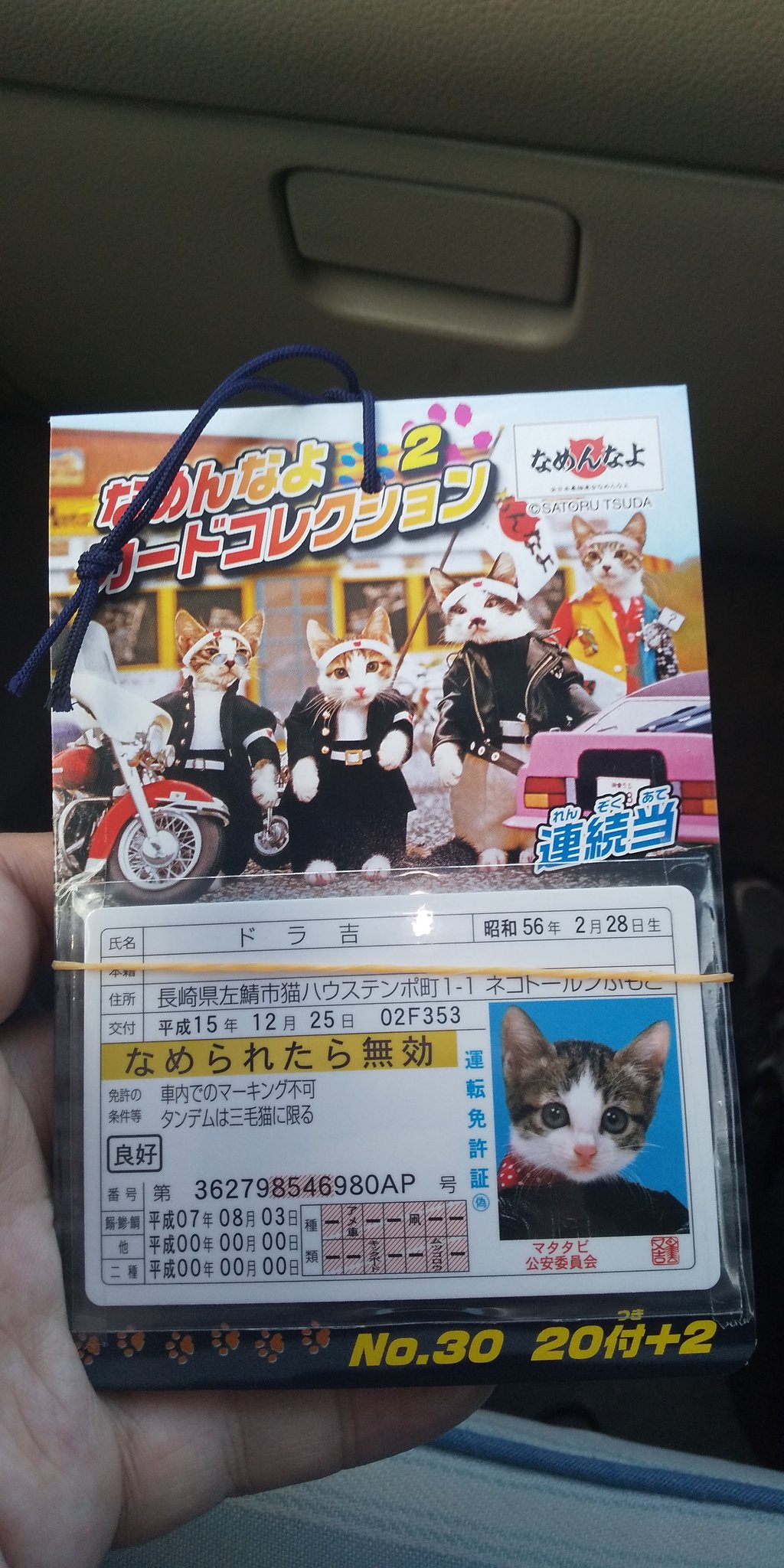 東堂 タカ虎 免許証番が三枚あたった なめ猫 なめんなよカードコレクション 猫 T Co Yxr5tteeur Twitter