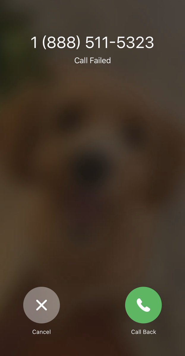 JennaSchulz12's tweet photo. Yesterday I was on hold with @Chase to cancel a trip. I was on hold for over 2.5 hours and this is how my call was received by @ChaseSupport https://t.co/wCk0GbtXqw