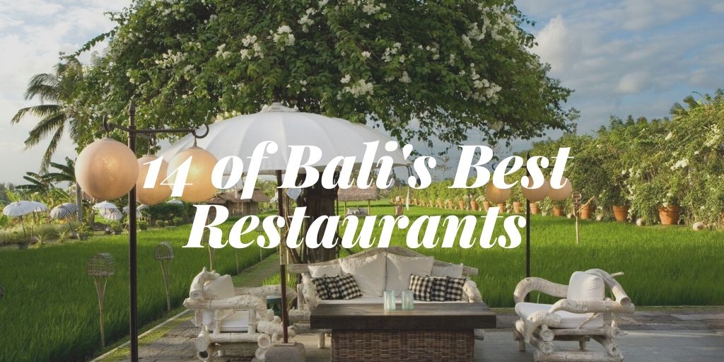 VillaGetaways's tweet photo. Read about our favourite places to dine when in Bali. Which have you tried? https://t.co/mzbBszML3C 
#bali #luxurytravel #visitbali #thegetawaylife https://t.co/BbLwSaHPch