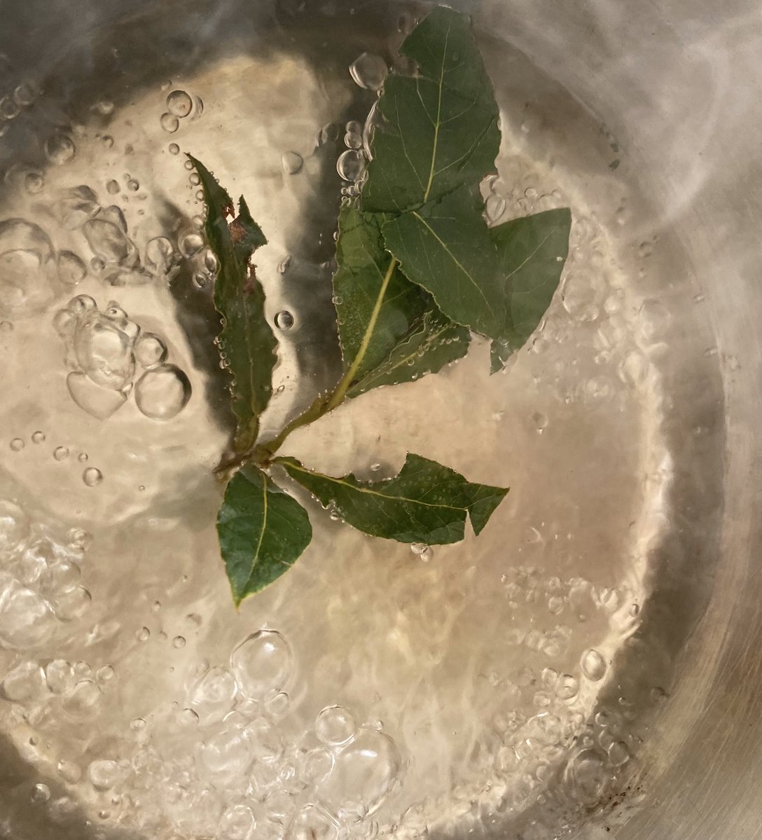 slimavocado's tweet photo. Nature’s antiseptic. Bay leaves. Crumple leaves and boil in water or take in the shower. Cleans the air and your lungs. Stay healthy! #CoronaVirusUpdate #naturalhealth #bayleaves https://t.co/BtyZyxrgLz