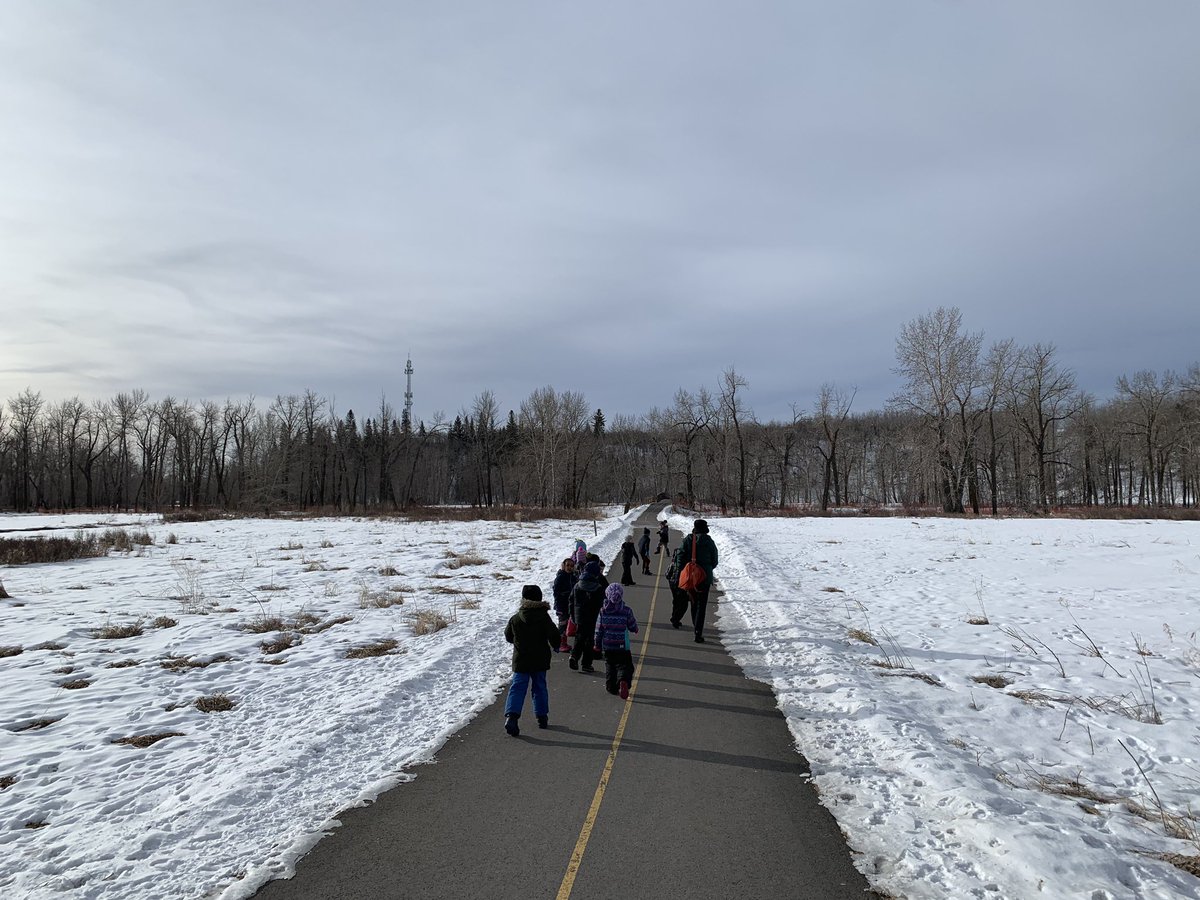 EppicMoments's tweet photo. Absolutely wonderful day at Fish Creek Provincial Park! Ss went for a nature walk to find animal tracks, evidence of animals in trees, checked out the bison pound and went in a cave. Then we did 5 awesome hands on centres learning on things Indigenous! #CBELearns #naturewalk https://t.co/HI6whcYQM0