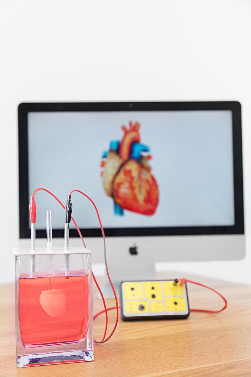 "​Heart failure is a global pandemic with an estimated 64.3 million cases worldwide in 2017, costing over US$100B per year. 

Read more here about how Novoheart and Astrazeneca are working to create a new tool in the worldwide battle against heart failure: bit.ly/2UB0TTP