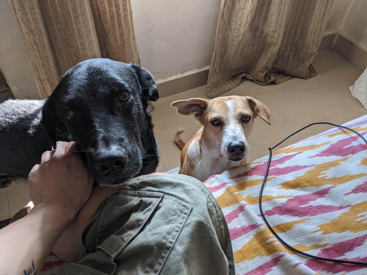 LiveDerekChu's tweet photo. #ButCouldYouNot give me those puppy dog eyes. https://t.co/pTYmWzItjj