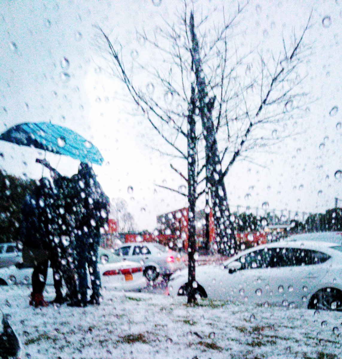 Nuevo entorno Bogotano! Que opinan?