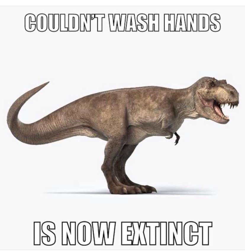 stephsparkle's tweet image. @hmns found this meme. Thought of you #tinyarmproblems #TRex #literallydead