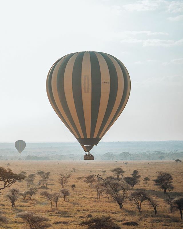 EasyTravelTZ's tweet photo. For most people, spending a few days of safari is itself a lifetime achievement, but some wish to take their vantage points to new heights. 😍
.
From the air you really get a sense of scale, which lives at the heart of why the Serengeti is such as pow… https://t.co/ObIgUcbpb2 https://t.co/5V9gQdNnrl