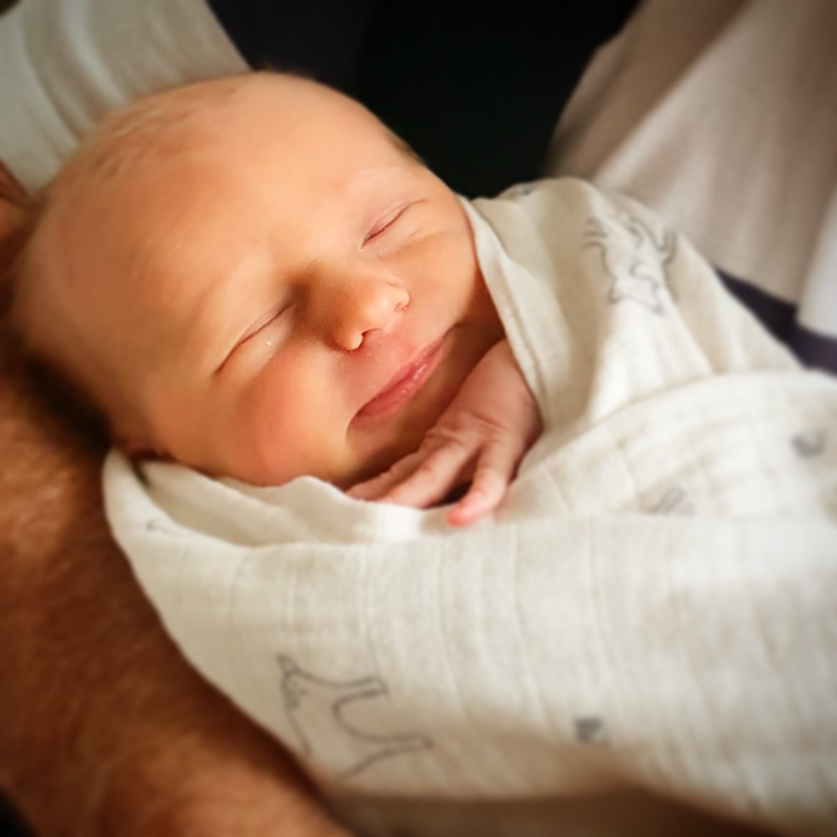 ☔Jason Murphy tweet media