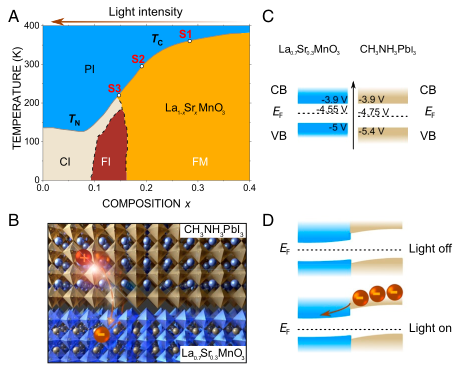PhysMagnetism20's tweet image. #Photodoping_Induced_Fine_Tuning_of_Tc.
Using visible light on a #Perovskite, @BalintNafradi transfers photo-electrons into LSMO and changes Tc. This allows #FastWriting of bits at room temperature.
Teams from @EPFL_en, @EPFL, @unicomplutense, #ICMM_CSIC
pnas.org/content/early/…