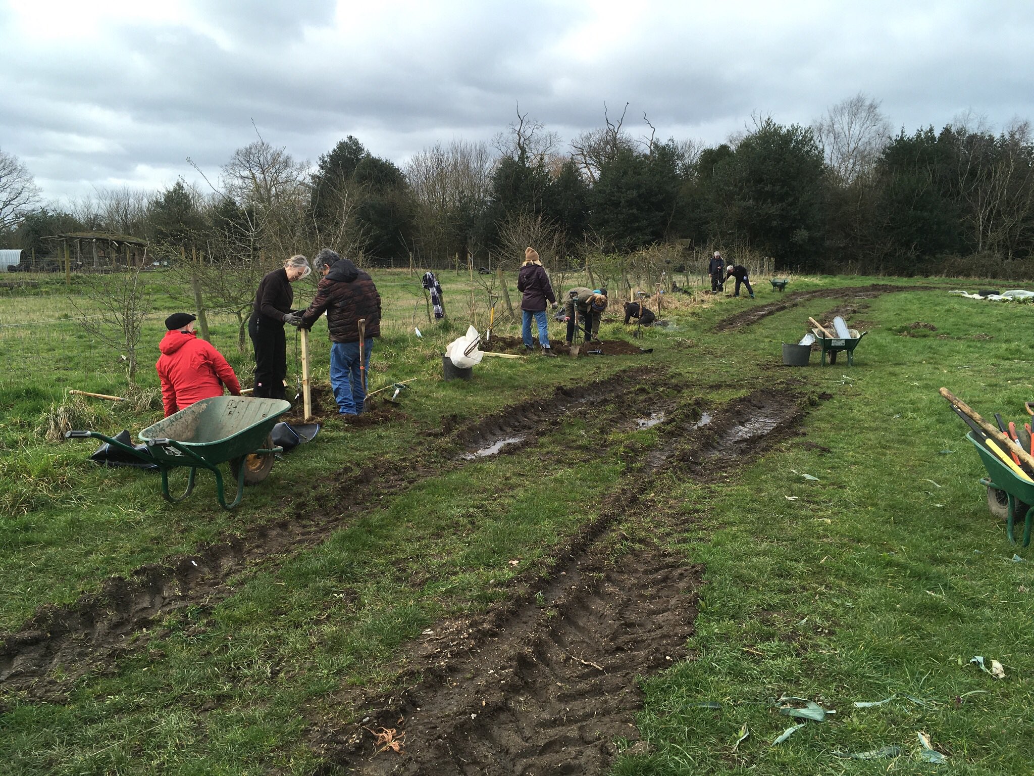 Forty Hall Farm (fortyhallfarm) / Twitter