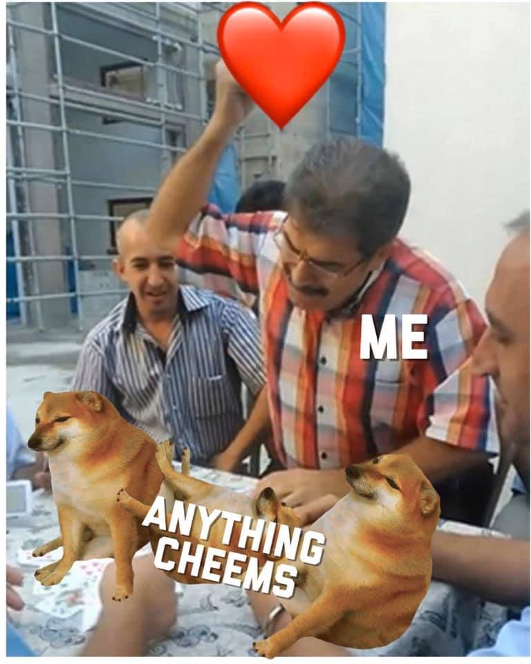 Schizoprenic Chihuahua tweet media