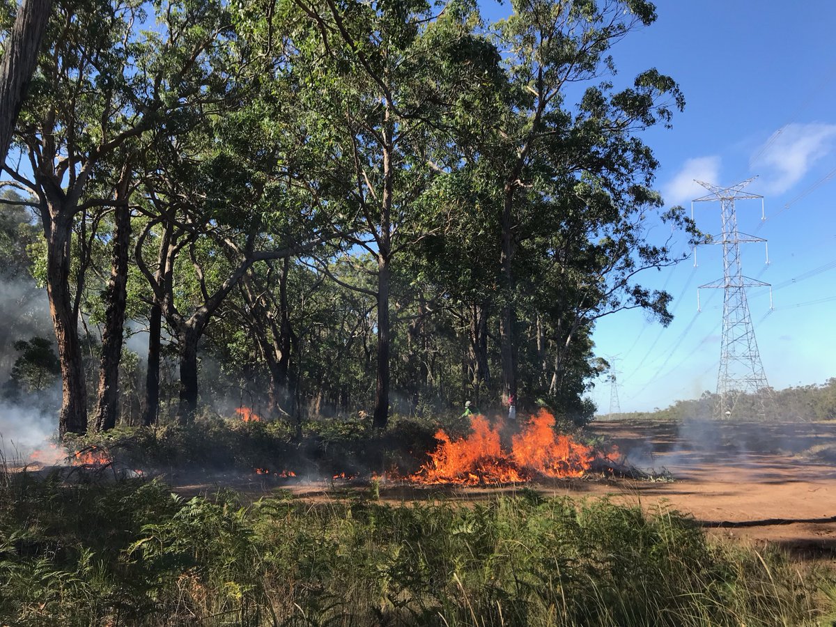 FFMVic's tweet photo. Our crews #PlannedBurning at #Gorae is progressing well. We will be onsite until the fireground is safe. More info at: https://t.co/JsM09rOlGo #FFMVic https://t.co/45bvUnPHQf