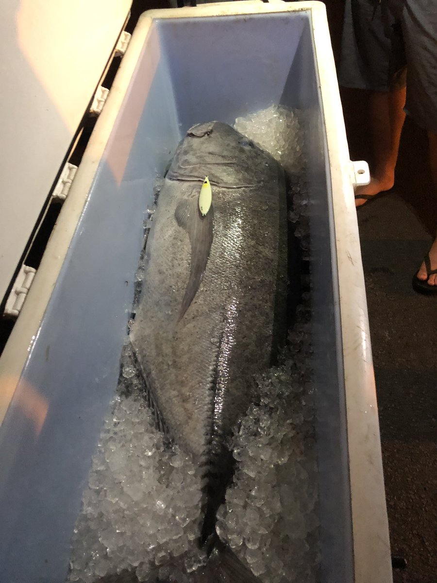 tsuribaco's tweet photo. 100LB(45kg)のGTだって。300gのジグが小さく見える。

https://t.co/OGx9PAObrW

#Majorcraft 
#メジャークラフト
#ジグパラ
#ジグパラスロー
#jigparaslow
#釣具
#サブスクリプション
#釣具サブスクリプション https://t.co/YAcpspXlnD