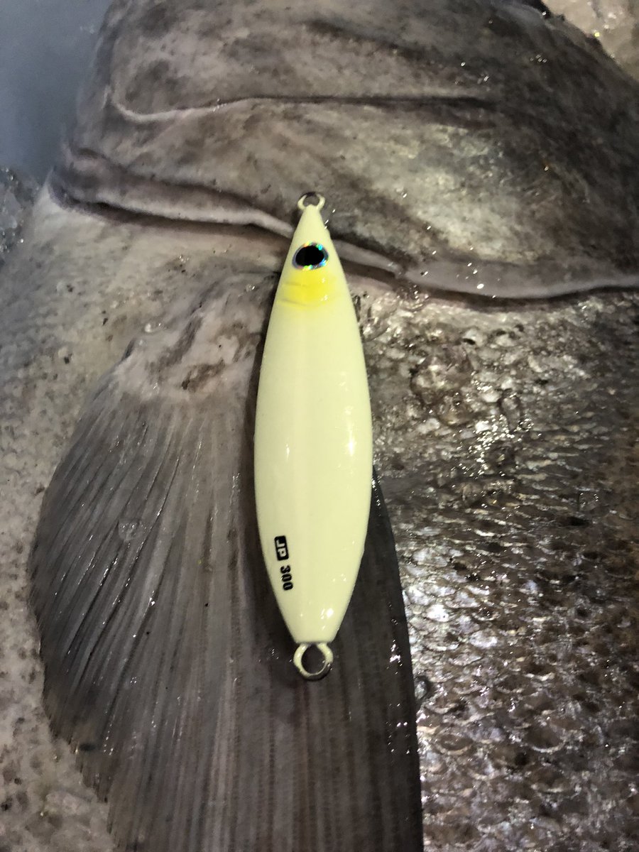 tsuribaco's tweet photo. 100LB(45kg)のGTだって。300gのジグが小さく見える。

https://t.co/OGx9PAObrW

#Majorcraft 
#メジャークラフト
#ジグパラ
#ジグパラスロー
#jigparaslow
#釣具
#サブスクリプション
#釣具サブスクリプション https://t.co/YAcpspXlnD