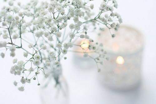 N_____our's tweet photo. اللهم إني اسألك في هذا الصباح المبارك أن تصلح لنا الحال وأن ترح لنا البال وأن تجب لنا السؤال

صباح الخير https://t.co/hc5G4H8Utw