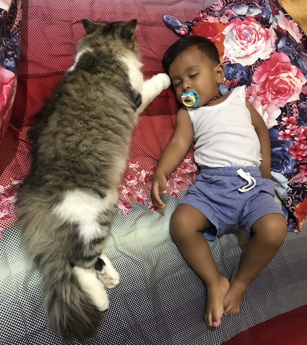 Anak pertama sama kedua udah sama gede nya 😂