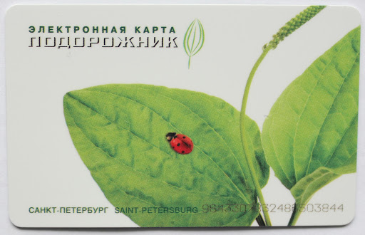 страховка подорожник условия. номер карты подорожник. электронная карта подорожник. карта метро санкт-петербурга подорожник. карта подорожник санкт-петербург.
