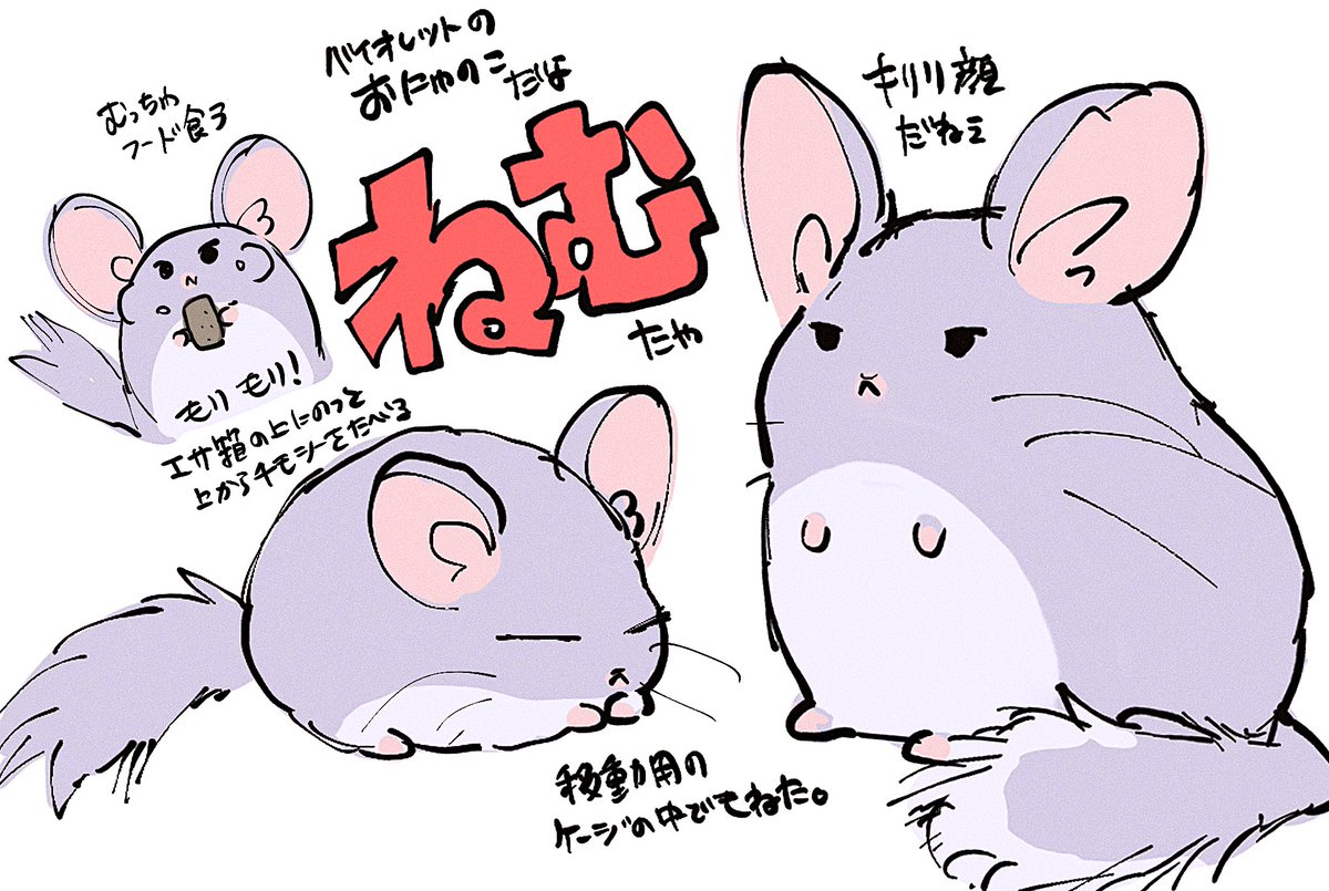 ねむチャンかわヨね 