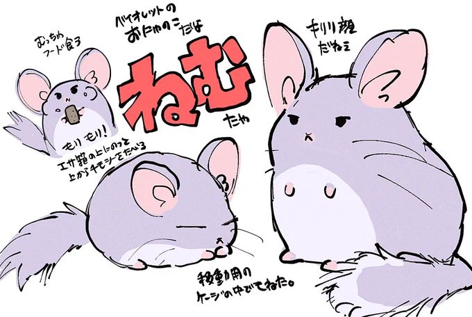 ねむチャンかわヨね 