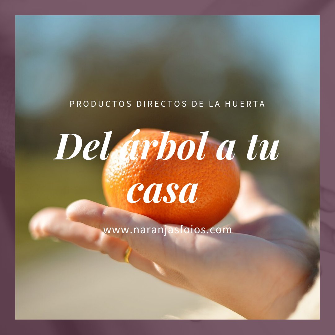 naranjasfoios's tweet photo. Contra #virus #gripes 💪combátelos con productos directos de la #huertavalenciana a tu casa en 24h🌳➡️🏡

FRESCOS, NATURALES Y SABOR AUTÉNTICO🤤🍊✔️https://t.co/mwHRjWwfR3
#naranja
#mandarina
#limon
#MieldeAzahar
#alcachofa
#mermelada

#NoSinMisNaranjasFoios
#COVID19espana https://t.co/NL06QTwUAl