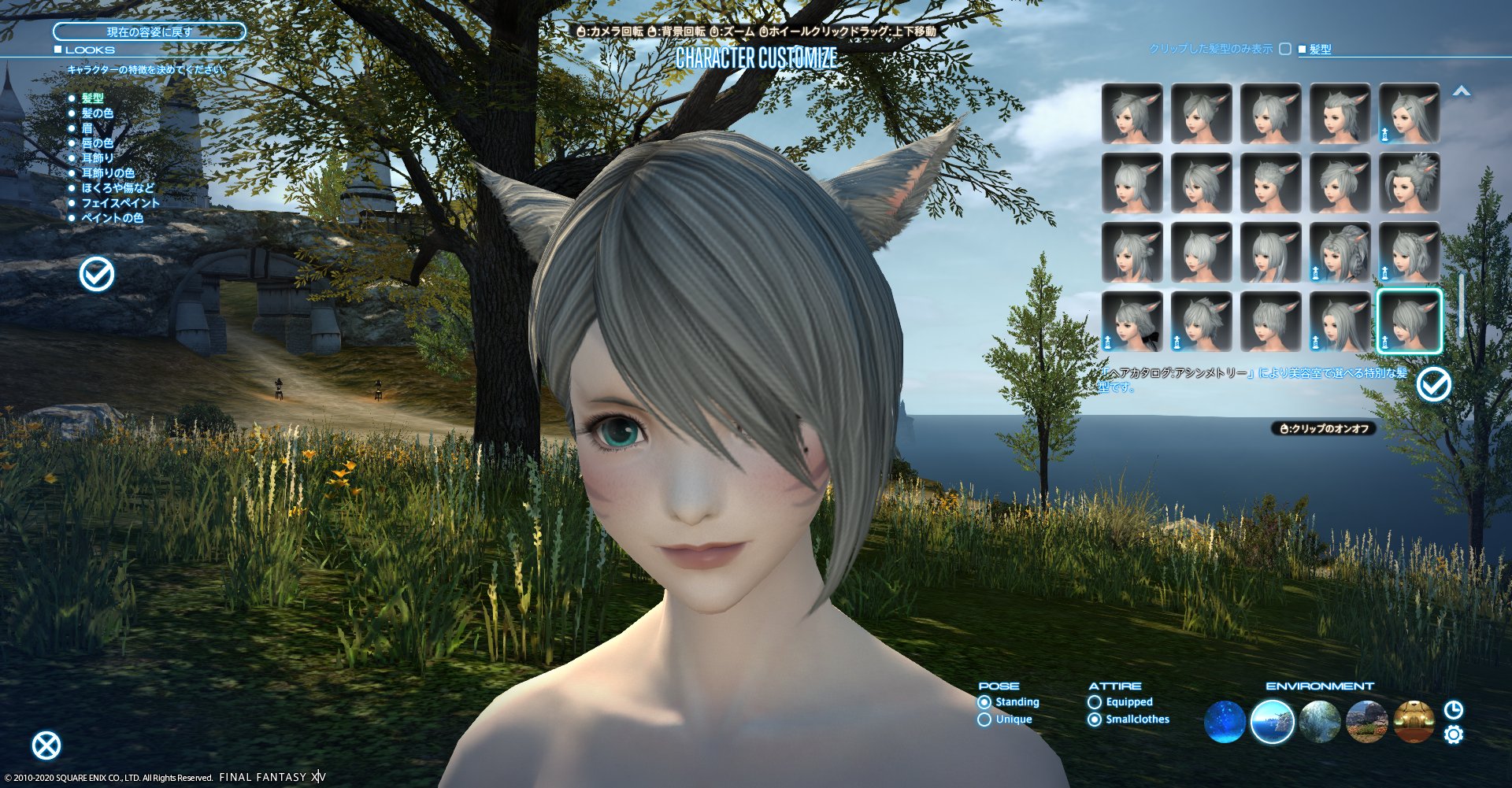 月の民ぺんぺん Na Twitteru ヘアカタログ アシンメトリー ミコッテ ムーンキーパー サンプル 調理 ガンブレ 黒魔 ミドメスさんが最高オブ最高だなって T Co Xav1vfwvsv Twitter