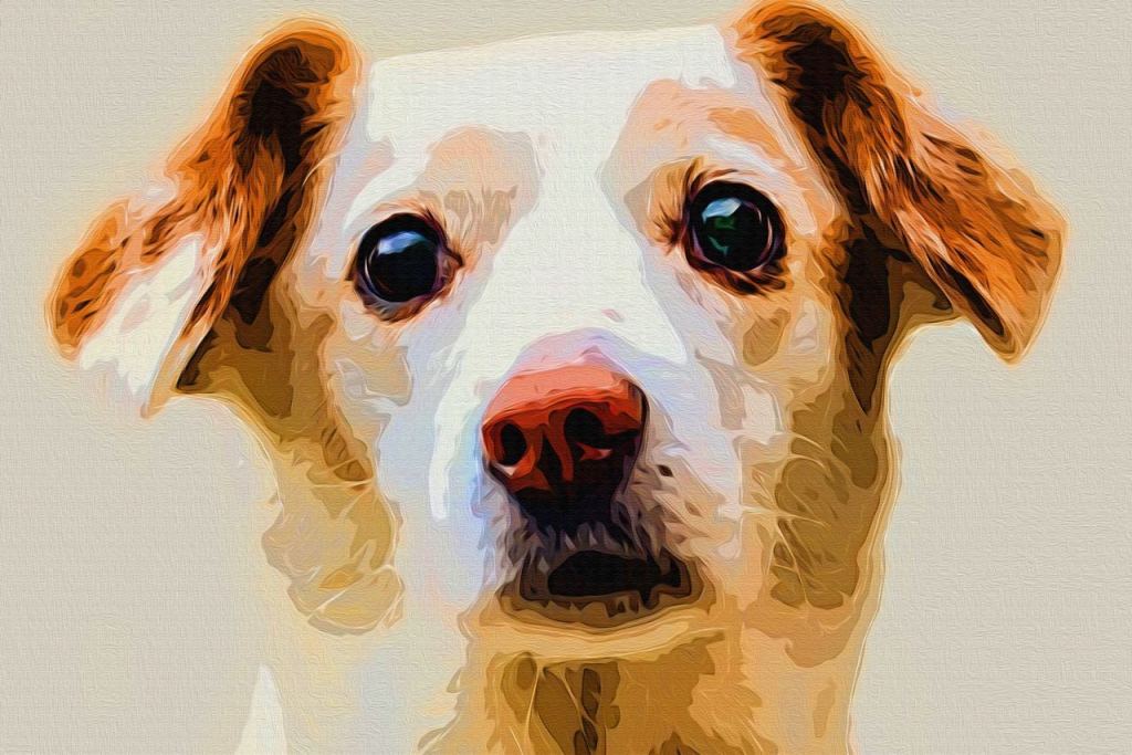 6DesignBr's tweet image. Os artistas podem criar seleções sobre uma parte do corpo de um animal ou no rosto de um humano (qualquer coisa, na verdade). Essa seleção controla com precisão onde o pincel pode marcar, portanto, mesmo se o artista pintar fora da… 6designbr.com/2020/03/o-que-…