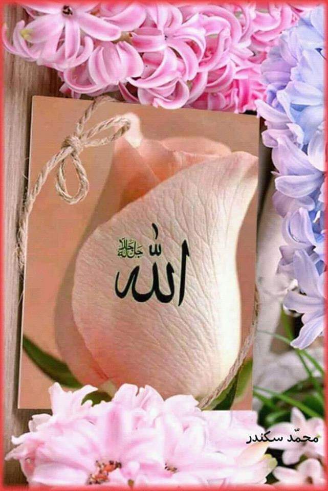 Zain57069412's tweet photo. Assalamualaikum wr wb. https://t.co/LRCNyjyqy4