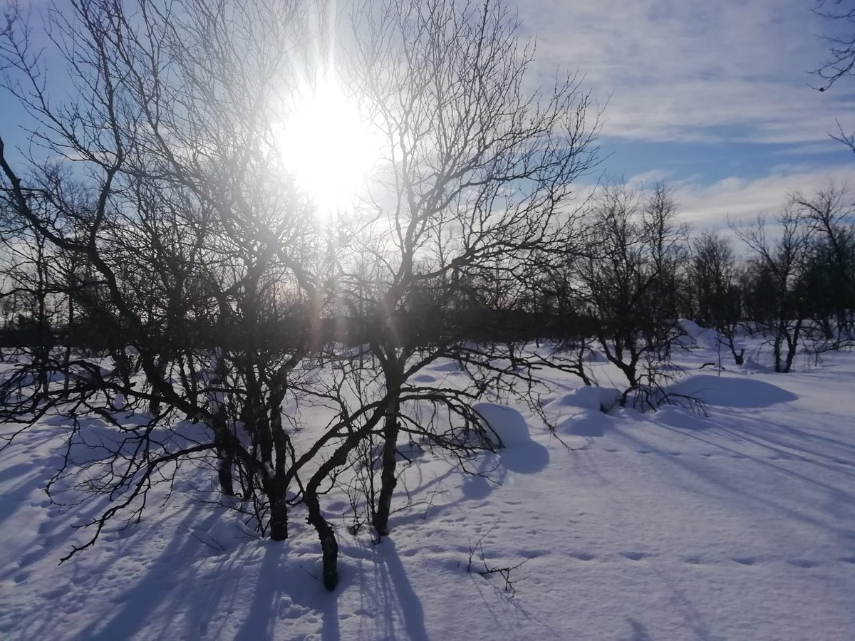 KMhansabar's tweet photo. The amazing #spring glory on #karigasniemi #highlands 😎❄ It has been warm and bright couple of days!

#utsjoki #lapland #Finland #exploreutsjoki #visitfinland #onlyinlapland #laplandfinland #nofilter #nature #wilderness #arctic #outdoors #winter #sunshine #sunny https://t.co/tfXfluZv2z