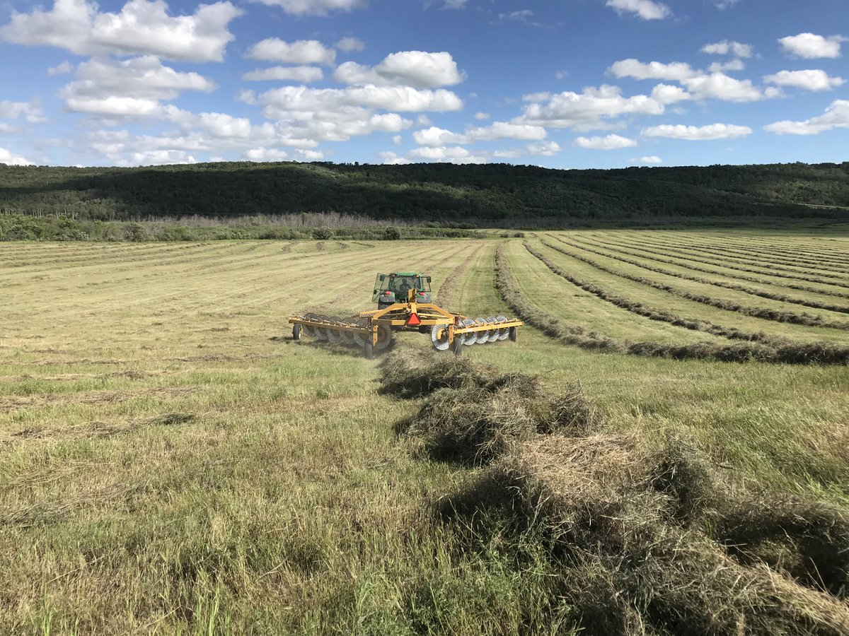 BridgeviewSask's tweet image. Be Ready for 2020's hay season with the Bale King VR581 wheel rake from Bridgeview Mfg. Available in 12 and 14 wheel configurations.