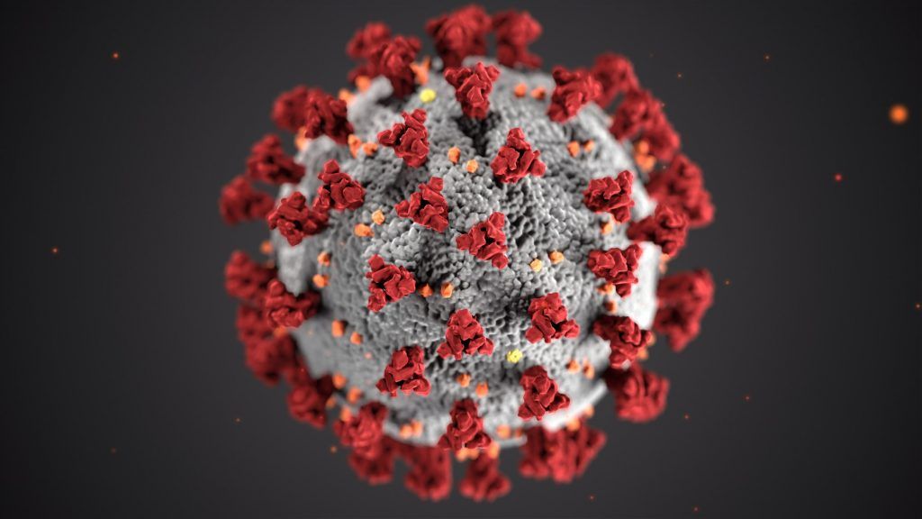 It's difficult to estimate as of today the impact of #coronavirus 
Here we take a look at how to best prepare for what's coming. 

#business #coronoavirusoutbreak #coronavirusbusiness #COVID2019 #CoronavirusLockdown #CoronavirusUSA #businessgrowth #