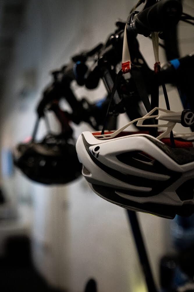 orangebeesllc tweet media