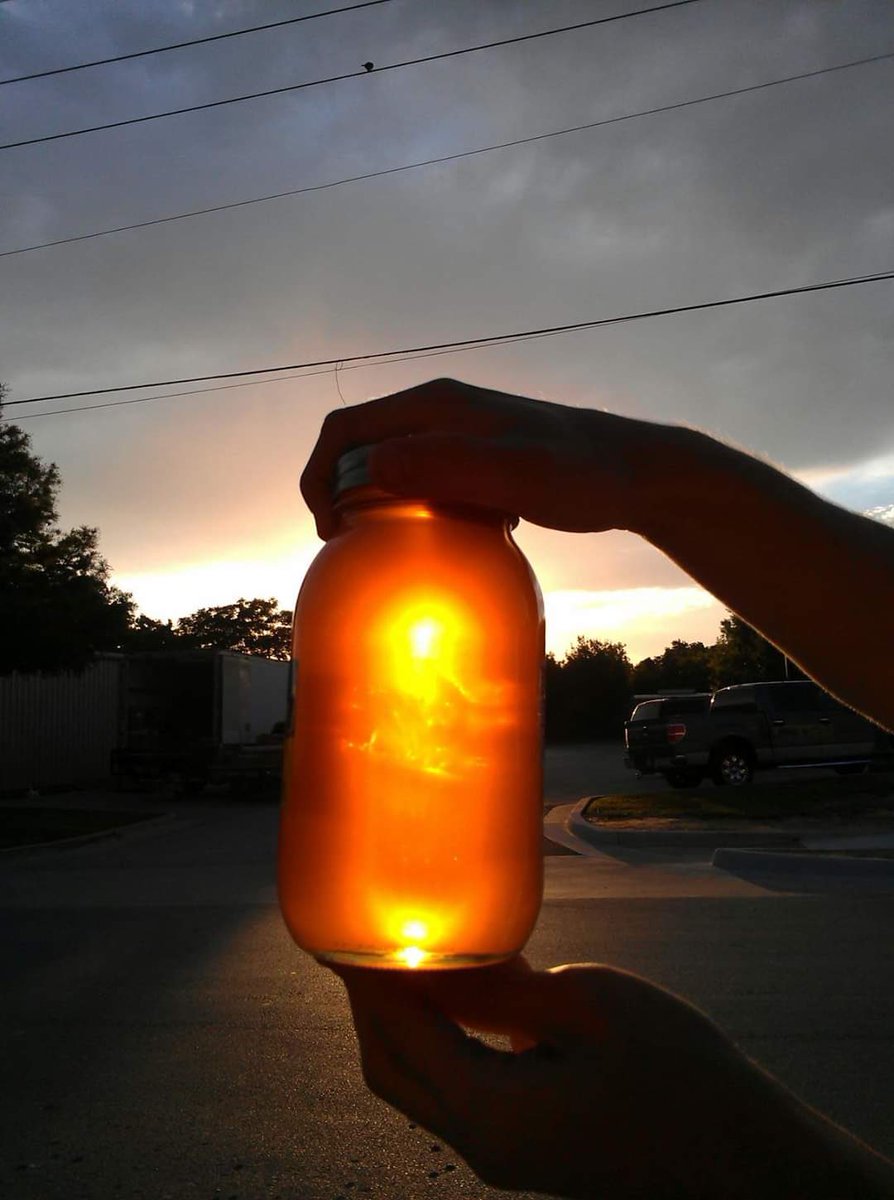 fmgvine's tweet photo. Come check out our outstanding selection of Backyard Eggs, Mill King Farm Fresh milk, and Raw Unfiltered Honey. πEverything delivered fresh by your local farmers just for you!
#WowzaWednesday
#local
#honey
#MillKing
#farmgrown
#pastureeggs
#nectar https://t.co/bieQLSiZsP