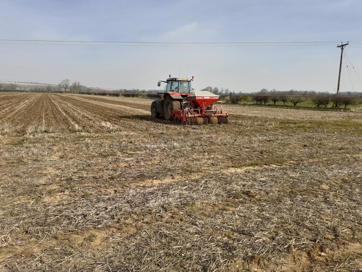 Mark Wilson (@hovinghammark) on Twitter photo 12 acres of oats drilled courtesy of <a href="/SpudSlingsby/">Andrew Wilson</a>. Decided to direct drill rather than plough. If it works I'll take the credit. If not no doubt I'll have to take the blame!! 12 acres of oats drilled courtesy of <a href="/SpudSlingsby/">Andrew Wilson</a>. Decided to direct drill rather than plough. If it works I'll take the credit. If not no doubt I'll have to take the blame!!