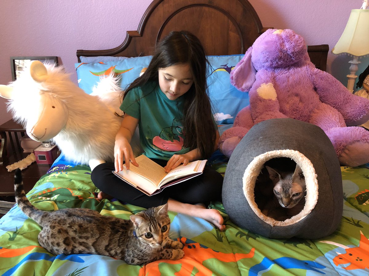 Wellers2ndGrade's tweet photo. Reading with AIM! Today’s AIM challenge was to take a photo of yourself reading with your pets or stuffed animals! Love these!!!! #AtHomeTogether #athomelearning #allenisd #allenathome @LibraryKerr @Allen_ISD @PhilipMott1 https://t.co/SkvdODWn7x