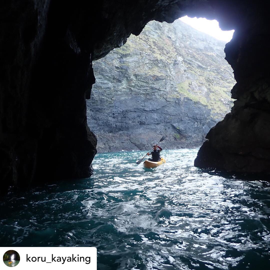 Koru Kayaking tweet media