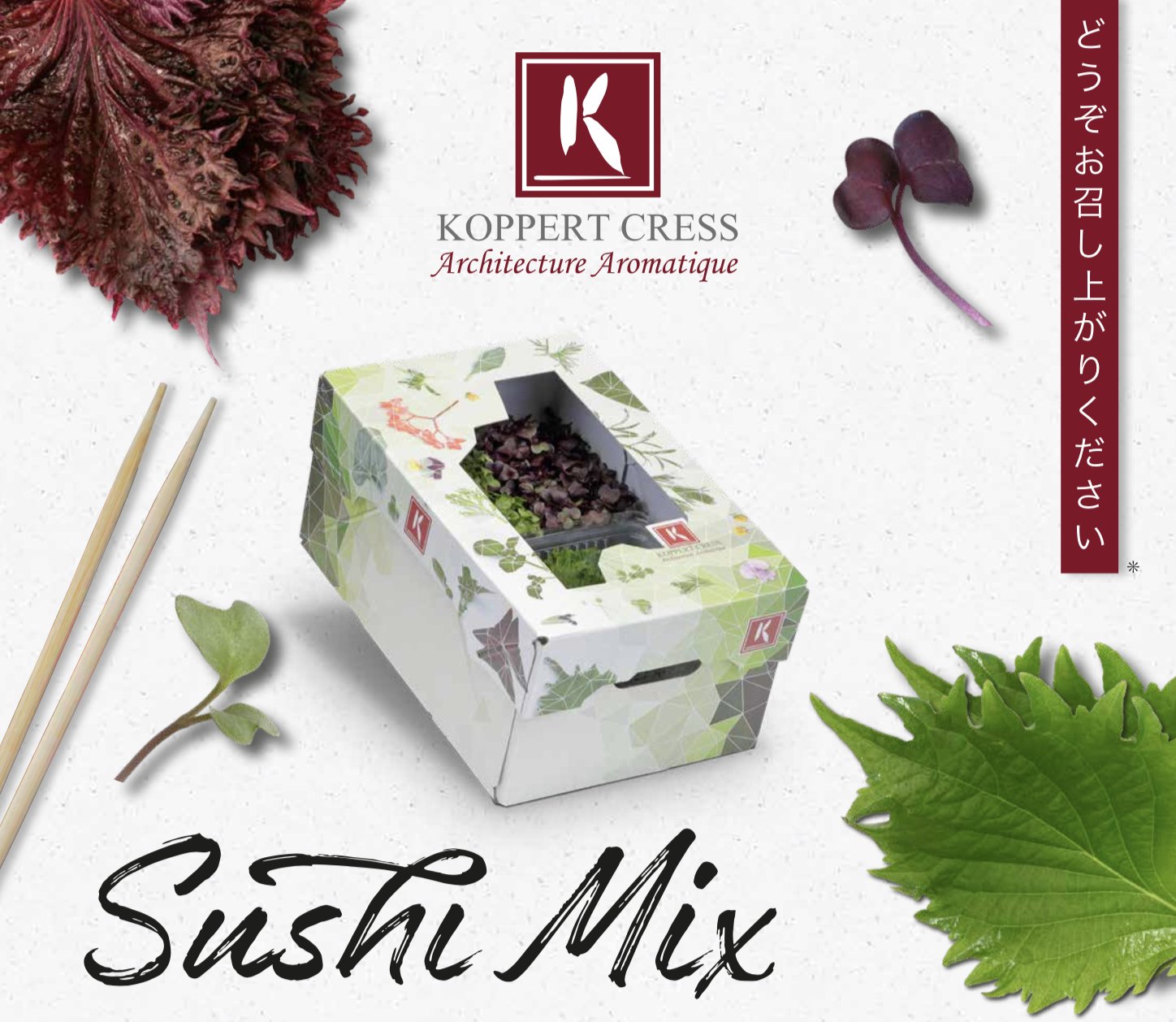 Hvilken en Fortryd Dominerende Koppert Cress on Twitter: "Sushi Mix! A perfect mix of Japanese origin and  perfect in combination with raw fish. (Sakura Cress, Daikon Cress, Shiso  Leaves Purple &amp; Shiso Leaves Green) Questions? Please