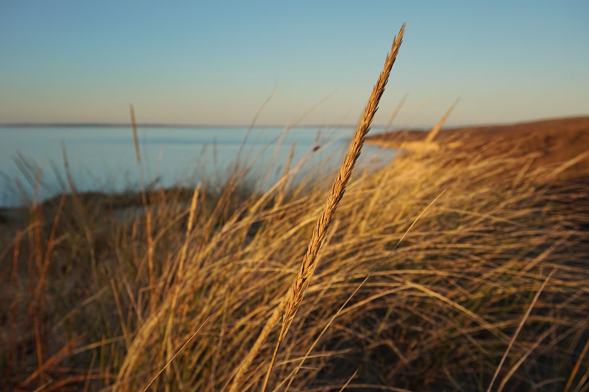 Trustees on Instagram: All the beauty of our 118 properties at your fingertips whenever your brain needs it.
 📷 📲  instagram.com/thetrustees/