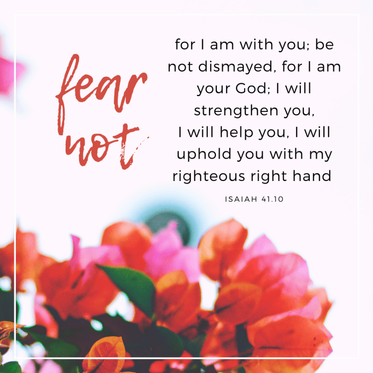 beckywadewriter's tweet photo. "...fear not for I am with you; be not dismayed, for I am your God. I will strengthen you, I will help you, I will uphold you with my righteous right hand." Isaiah 41:10 Love this verse and graphic my friend @DaniPettrey shared in today's blog post! https://t.co/xL3wdktiEv