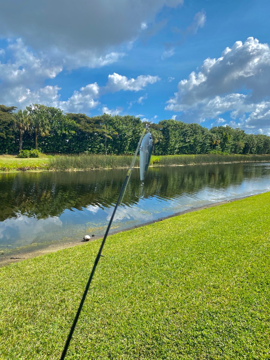 NTKFishing's tweet photo. Great day for some fishing!!! 

Check out https://t.co/7FawTSUNAs if your heading out and want some advice on what bait to use to catch MONSTER BASS.

#fishing #bassfishing #probassfishing #bass #bassbait #probait #bait #fish #fishingwebsite #monsterbass https://t.co/edj04FHUNu