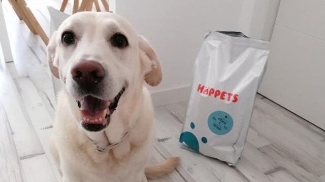 gudog_es's tweet photo. 💡 Si cada persona es diferente, ¿por qué no iban a serlo también nuestros perros? 🐶 Esta semana te hablamos de #Happets, la marca de comida para perros personalizada de moda: https://t.co/aPCtwIU0i7 ⬅️ ¡Lee hasta el final, que estamos regalando tres meses de suscripción! 🎁 https://t.co/CTzyOHdepq