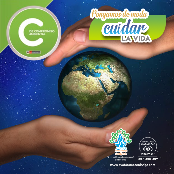 AvatarLodge's tweet photo. En tiempos de Coronavirus, pongamos de moda cuidar la vida. Y que esta maravillosa tendencia nos contagie y  perdure por siempre para disfrutar de este maravilloso regalo!  🙏 💚 #Yomequedoencasa
.
🌎 https://t.co/PMgxTH9jfy 
.
#25Mar #AvatarAmazonLodge #MensajesEcologicos https://t.co/xzc36NfGfS